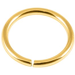 18ct Gold-Plated Continuous Ring