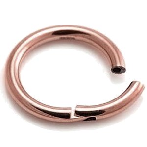 2.5mm Gauge Hinged PVD Rose Gold on Steel Segment Ring
