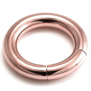 4mm Gauge Hinged PVD Rose Gold on Steel Segment Ring