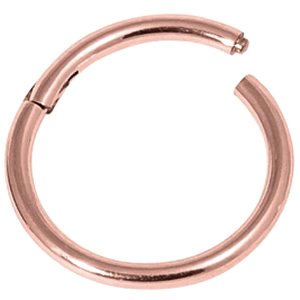 1.0mm Gauge Hinged PVD Rose Gold on Titanium Segment Ring
