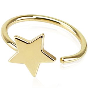 14 Carat Yellow Gold Star Ring