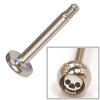 Steel Picture Labret - Skull