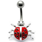 Ladybird Belly Bar