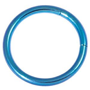 Titanium Segment Ring