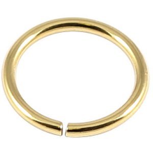 PVD Gold on Steel Continuous Ring