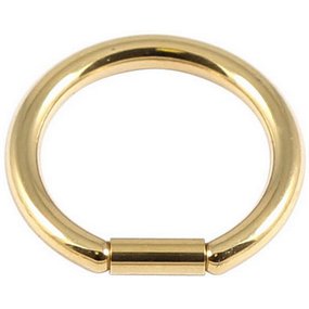 PVD Gold on Steel Bar Closure Ring