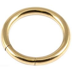 PVD Gold on Steel Smooth Segment Ring