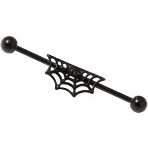 PVD Black Industrial Scaffold Barbell - Cobweb