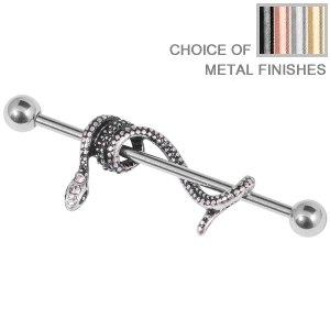 Industrial Scaffold Barbell - Entwined Snake