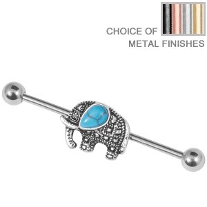 Industrial Scaffold Barbell - Turquoise Elephant