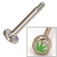 Steel Picture Labret - Hemp Leaf