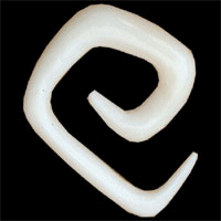 Square Bone Spiral