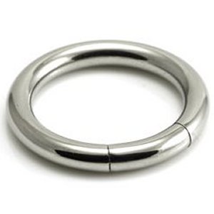 3.2mm Gauge Titanium Segment Ring
