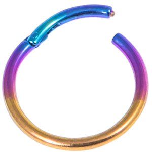 1.6mm Gauge Titanium Hinged Segment Ring