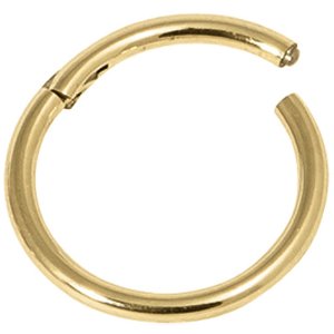 1.0mm Gauge Hinged PVD Gold Titanium Smooth Segment Ring