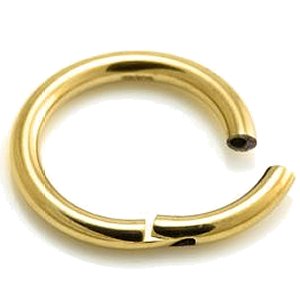 2mm Gauge Hinged PVD Gold Titanium Smooth Segment Ring