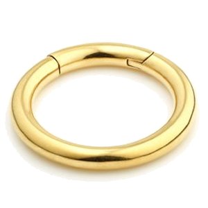 2.5mm Gauge Hinged 24ct Gold PVD Segment Ring