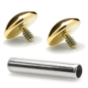 1.2mm Gauge Titanium Barbell with PVD Gold Domes - Internally-Threaded