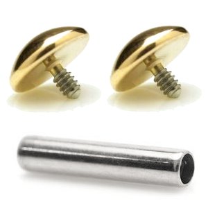 1.6mm Gauge Titanium Barbell with PVD Gold Domes - Internally-Threaded