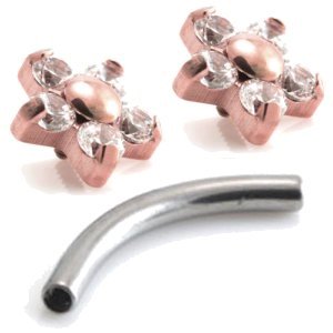 1.2mm Gauge Titanium PVD Rose Gold Jewelled 5-Petal Flower Banana - Internally-Threaded