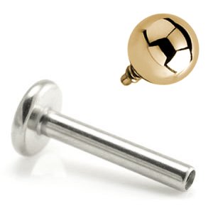 1.2mm Gauge Titanium Labret with PVD Gold Ball - Internally-Threaded