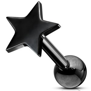 PVD Black on Steel Star Ear Stud