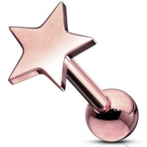 PVD Rose Gold on Steel Star Ear Stud