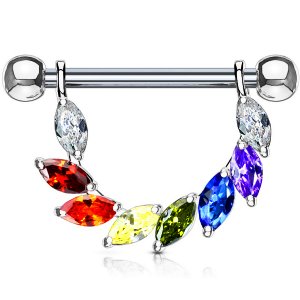 Steel Rainbow Jewelled CZ Petals Nipple Barbell