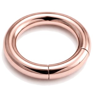 5mm Gauge Hinged PVD Rose Gold on Steel Segment Ring