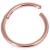 1.6mm Gauge Hinged PVD Rose Gold on Titanium Segment Ring - view 1