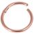 1.0mm Gauge Hinged PVD Rose Gold on Titanium Segment Ring - view 1