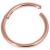 1.6mm Hinged PVD Rose Gold on Steel Smooth Segment Ring - view 1