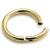 3.2mm Gauge Hinged PVD Gold Titanium Smooth Segment Ring - view 1