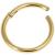 1.6mm Gauge Hinged PVD Gold Steel Smooth Segment Ring - view 1