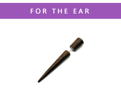 Fake Ear Stretchers