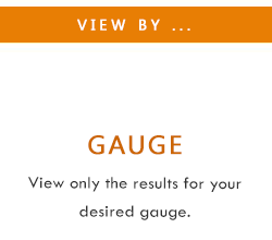 Gauge